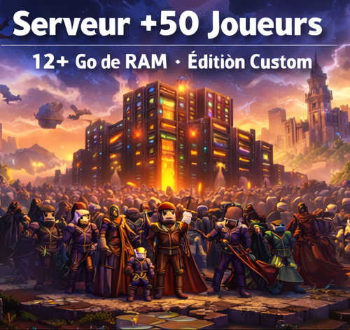 Infrastructure gaming premium 12+ Go – Édition Premium